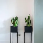 Apartmán En Papillon Zandvoort