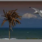 En Papillon Zandvoort