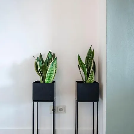 Apartment En Papillon Zandvoort