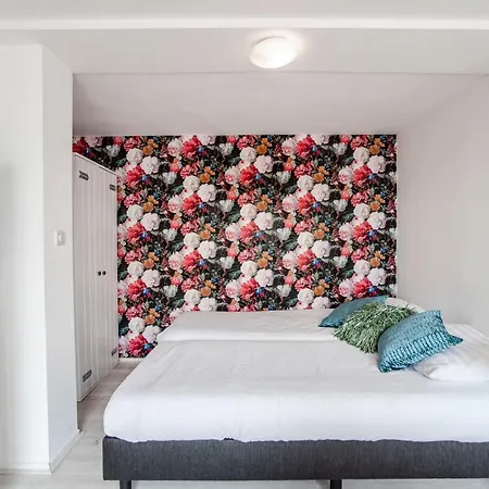 Apartment En Studio Papillon Zandvoort