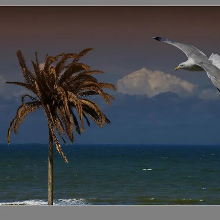 En Papillon Zandvoort