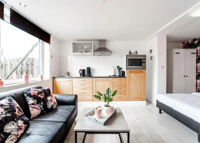 Daire En Papillon Zandvoort