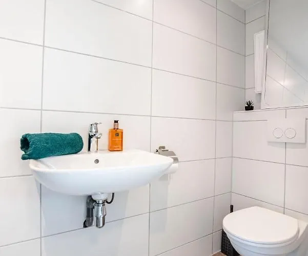 Daire En Papillon Zandvoort