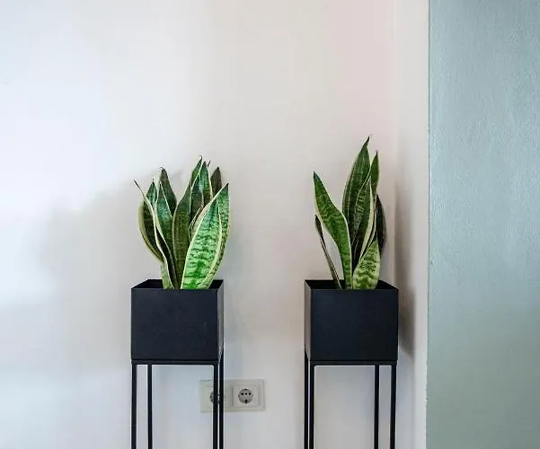 Daire En Papillon Zandvoort