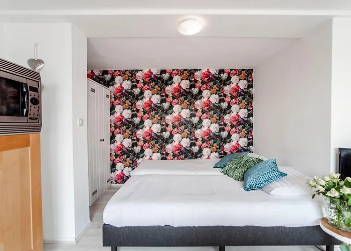 Daire En Papillon Zandvoort