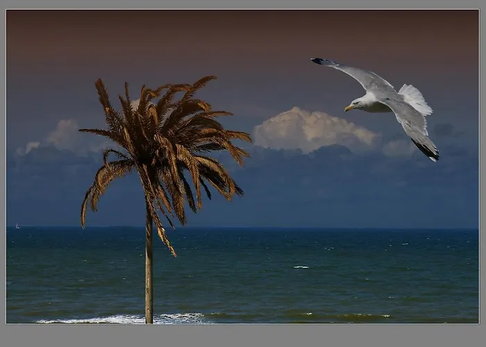 En Papillon Zandvoort
