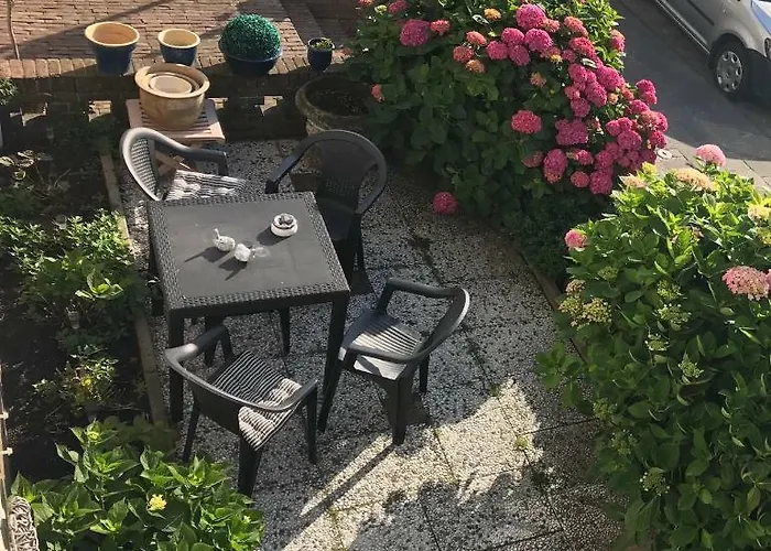 Daire En Papillon Zandvoort